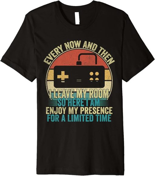 Every Now And Then I Leave My Room Funny Gamer Premium T-Shirt